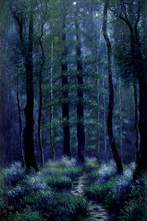 Beautiful landscape, dark forest, highly