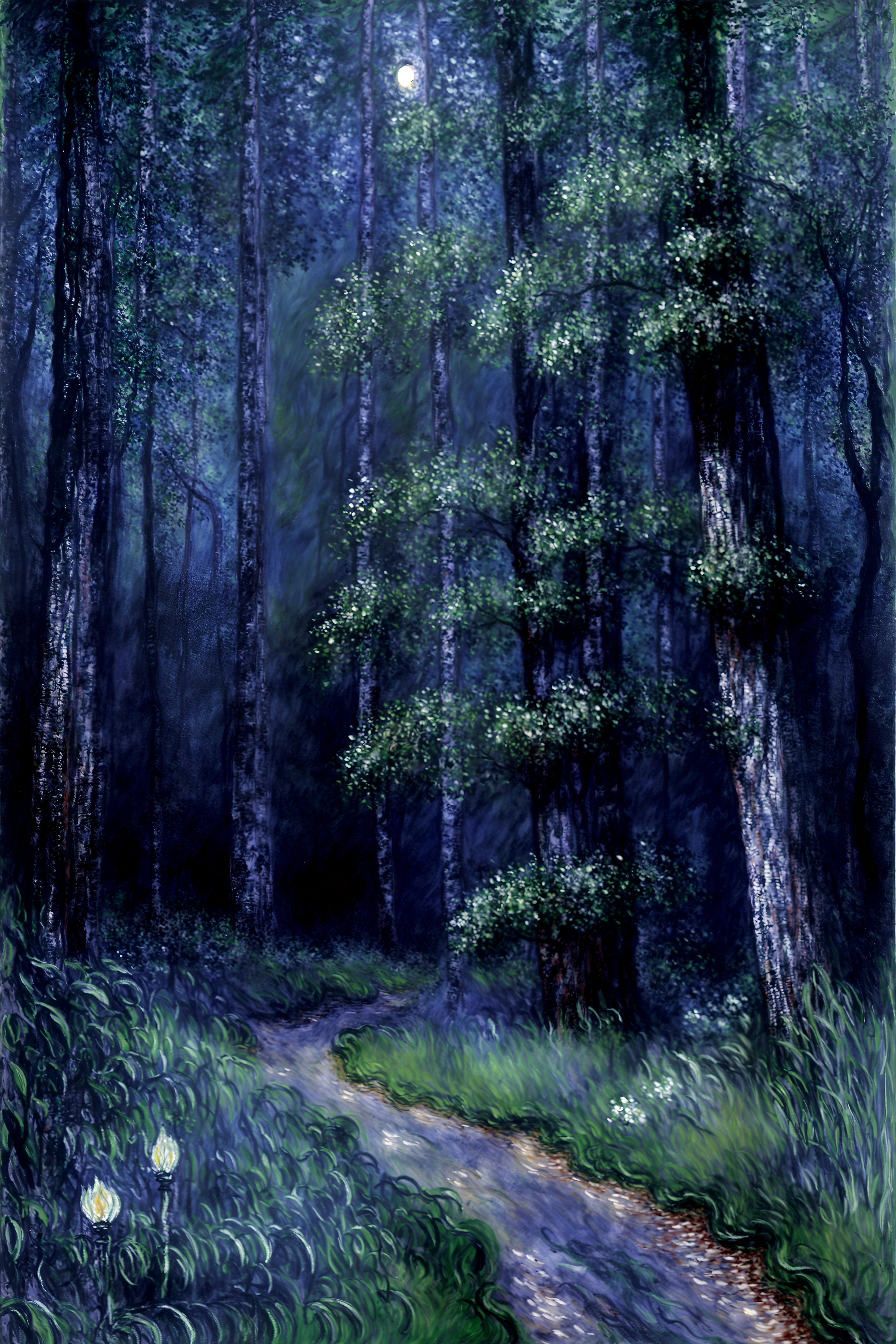 Beautiful landscape, dark forest, highly